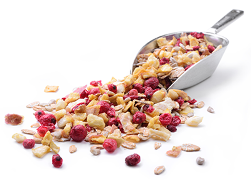 Cerealsgrains cereal2